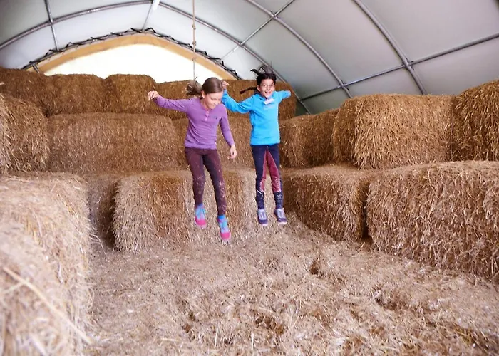 Kornblume Lägenhet Bliesdorf